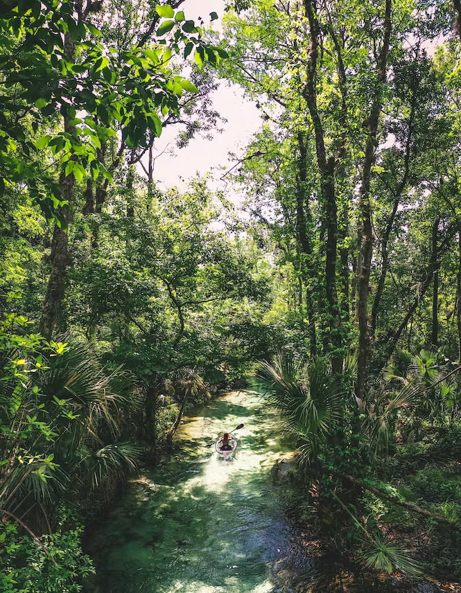 Value add...Explore the mangroves