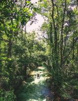 Value add...Explore the mangroves