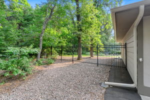 Photo-4