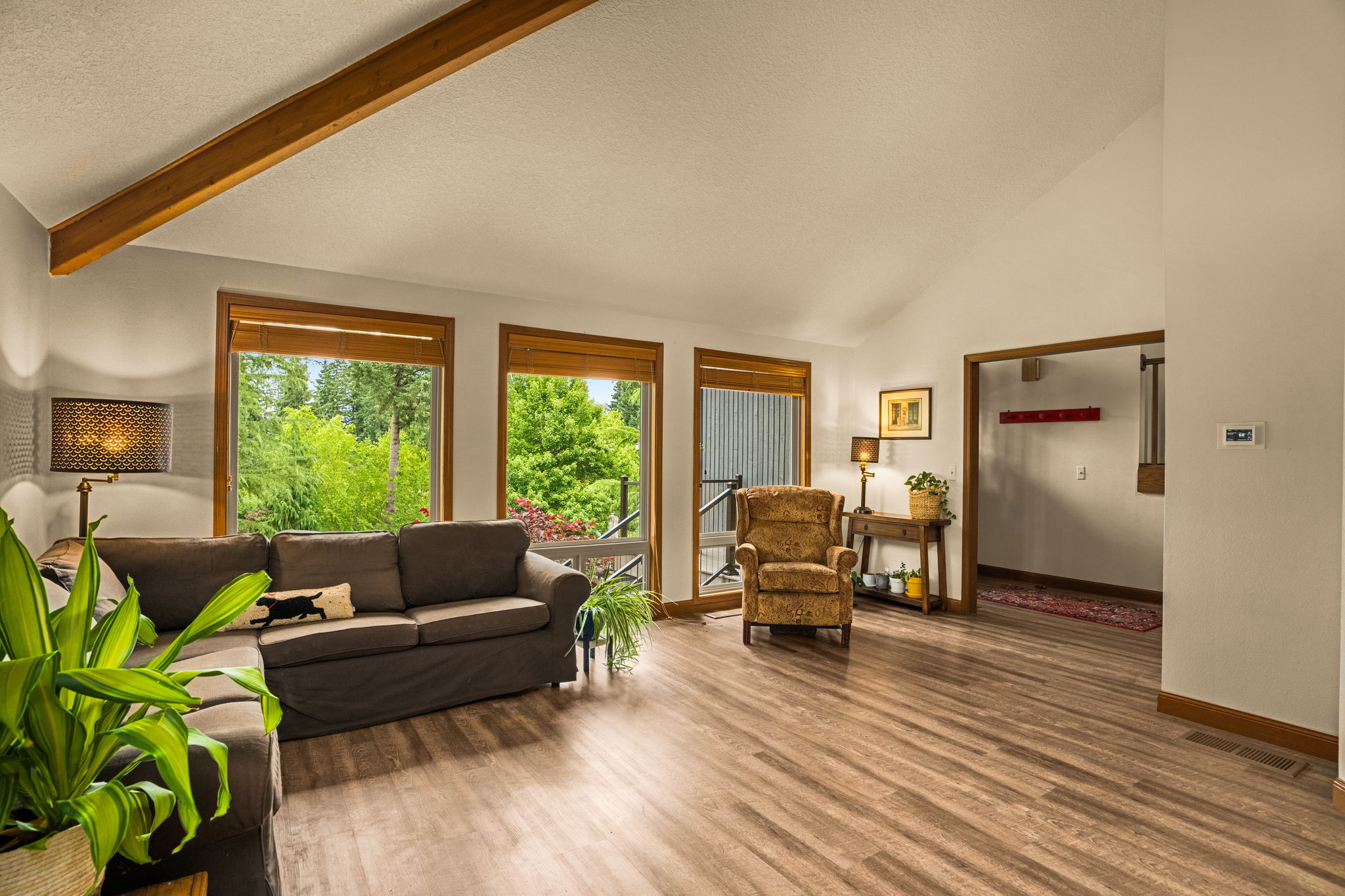 Living Room - Vaulted Ceilings
