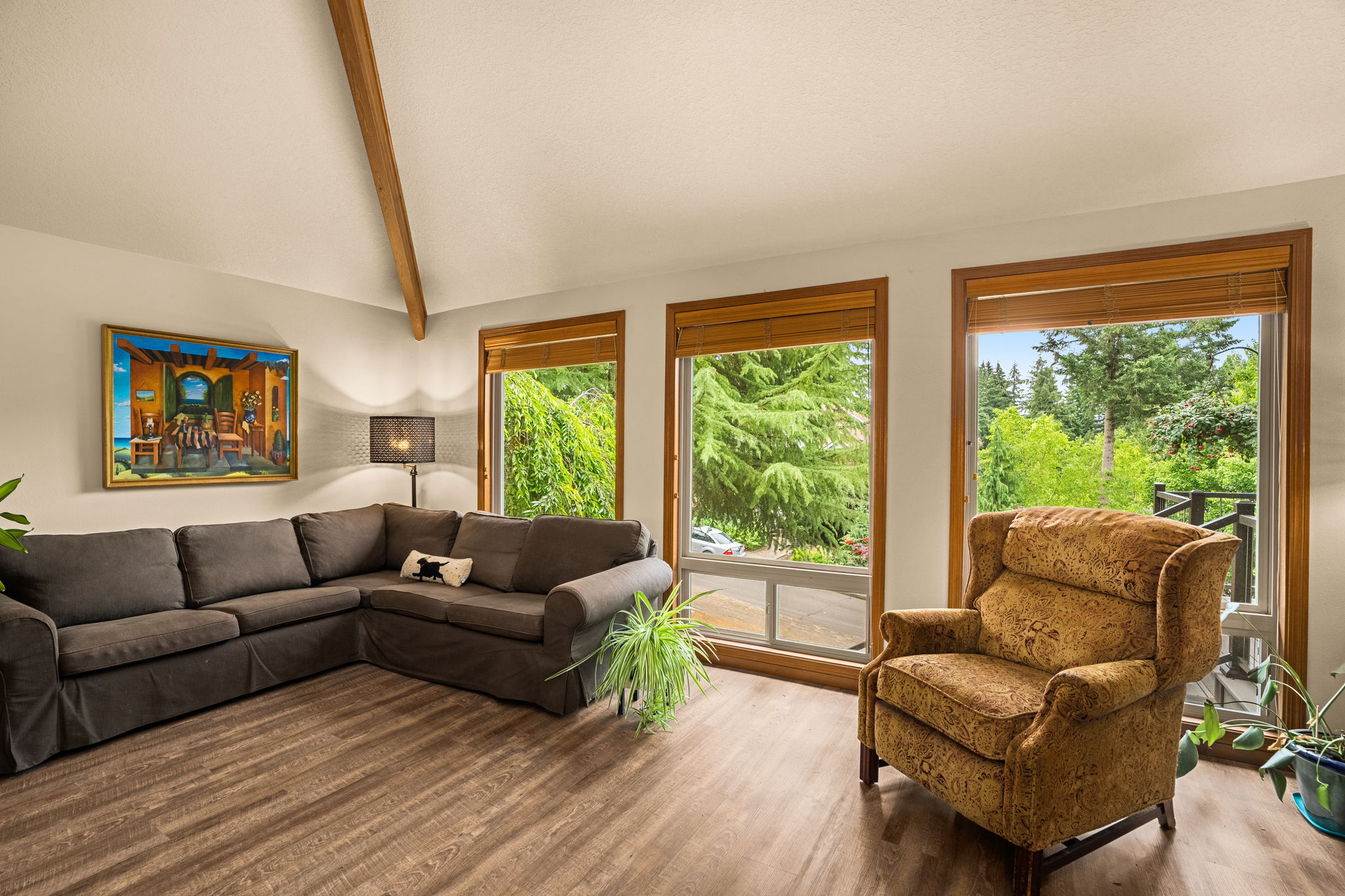 Living Room - Vaulted Ceilings