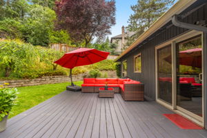 Patio - Backyard