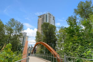  Photo 49