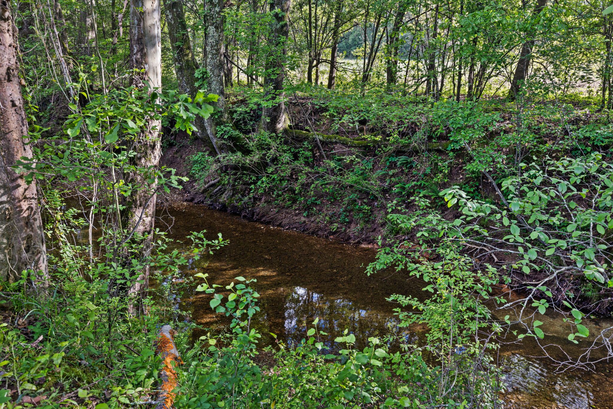  Photo 46