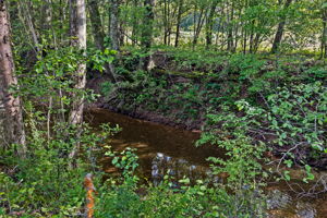  Photo 45