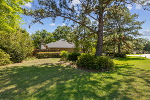 Side Yard