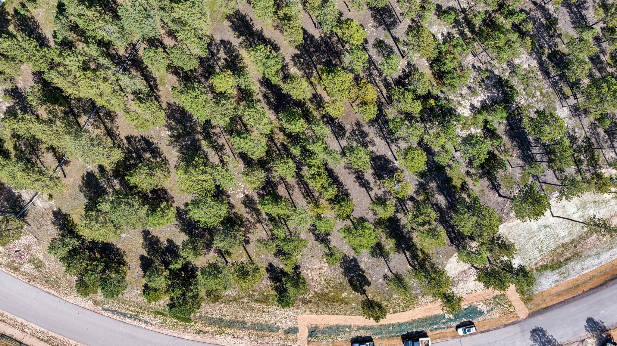 DJI_20250926141202_0034_D.jpg