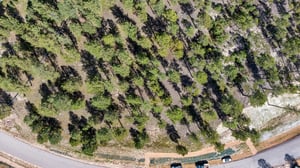 DJI_20250926141202_0034_D.jpg