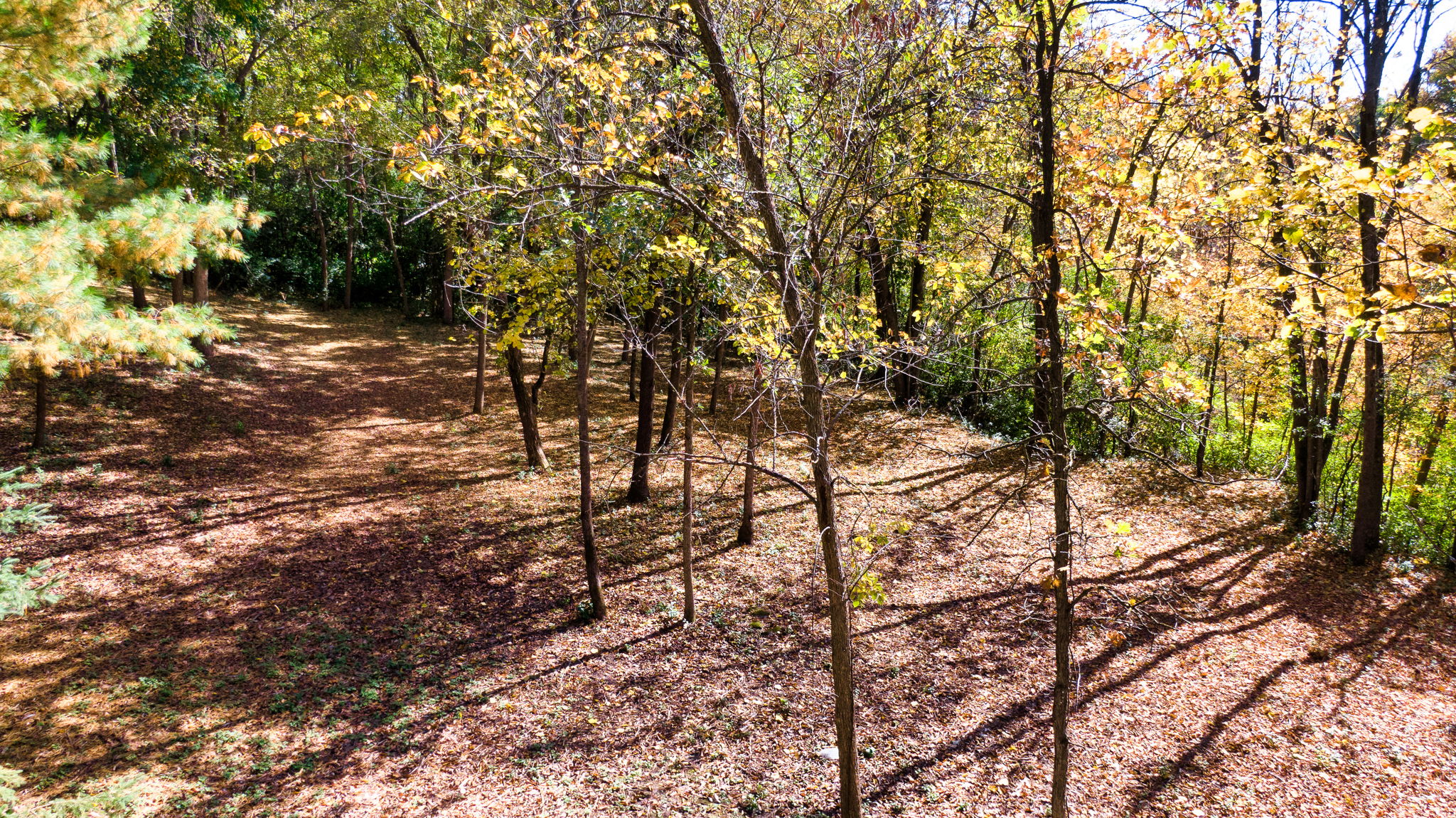 14XXX Dellwood Rd Photo 68