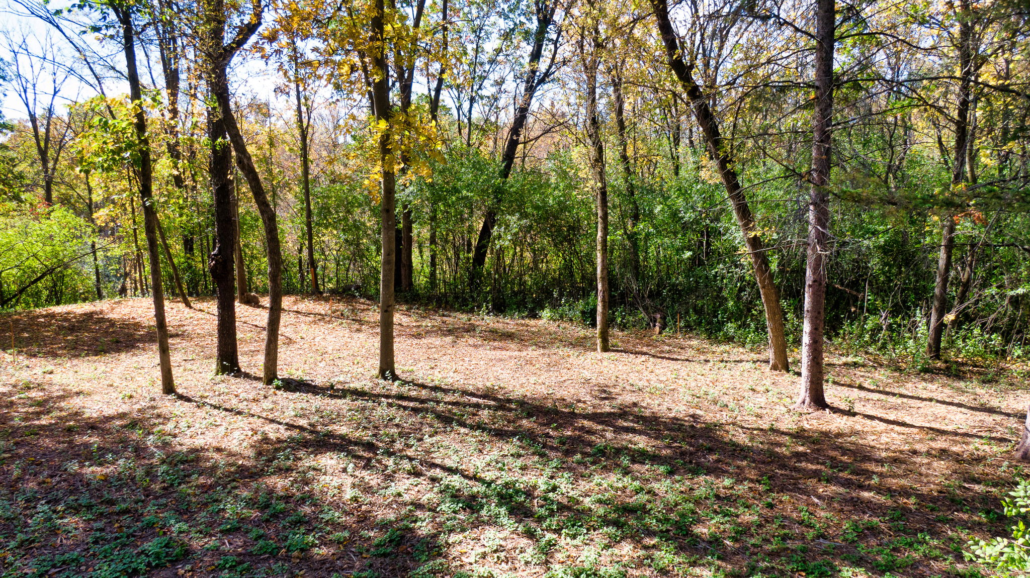 14XXX Dellwood Rd Photo 64