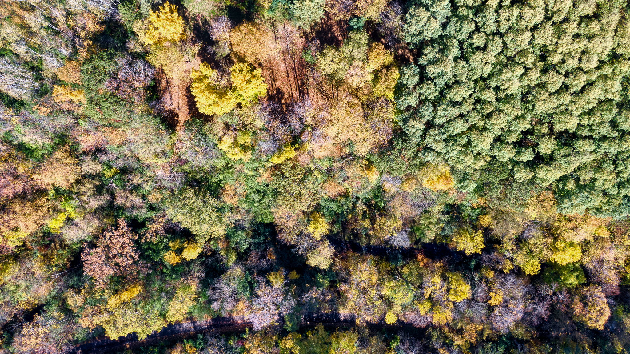 14XXX Dellwood Rd Photo 57