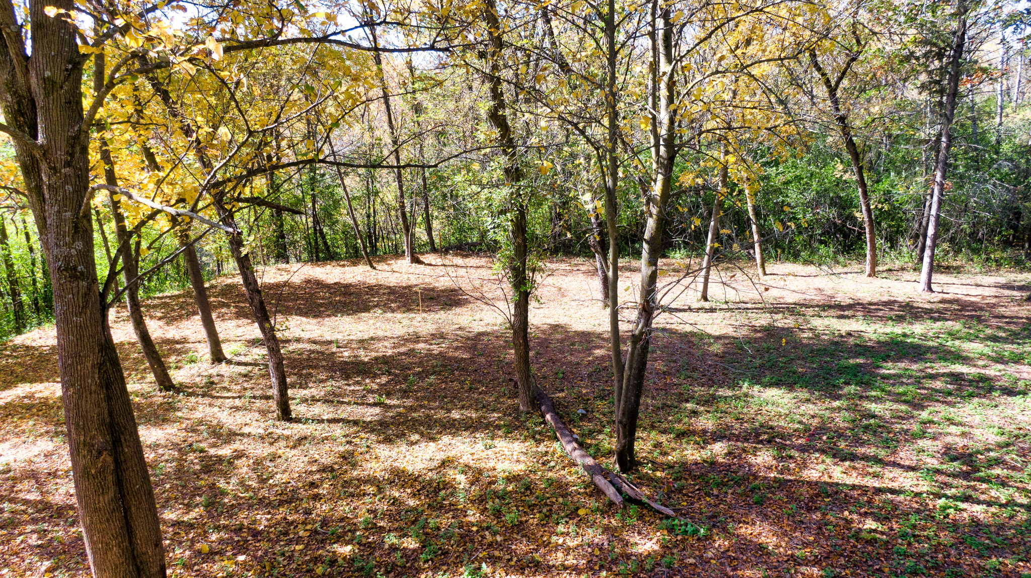 14XXX Dellwood Rd Photo 66