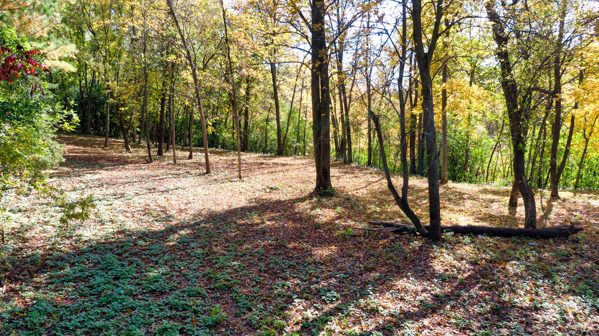 14XXX Dellwood Rd Photo 63