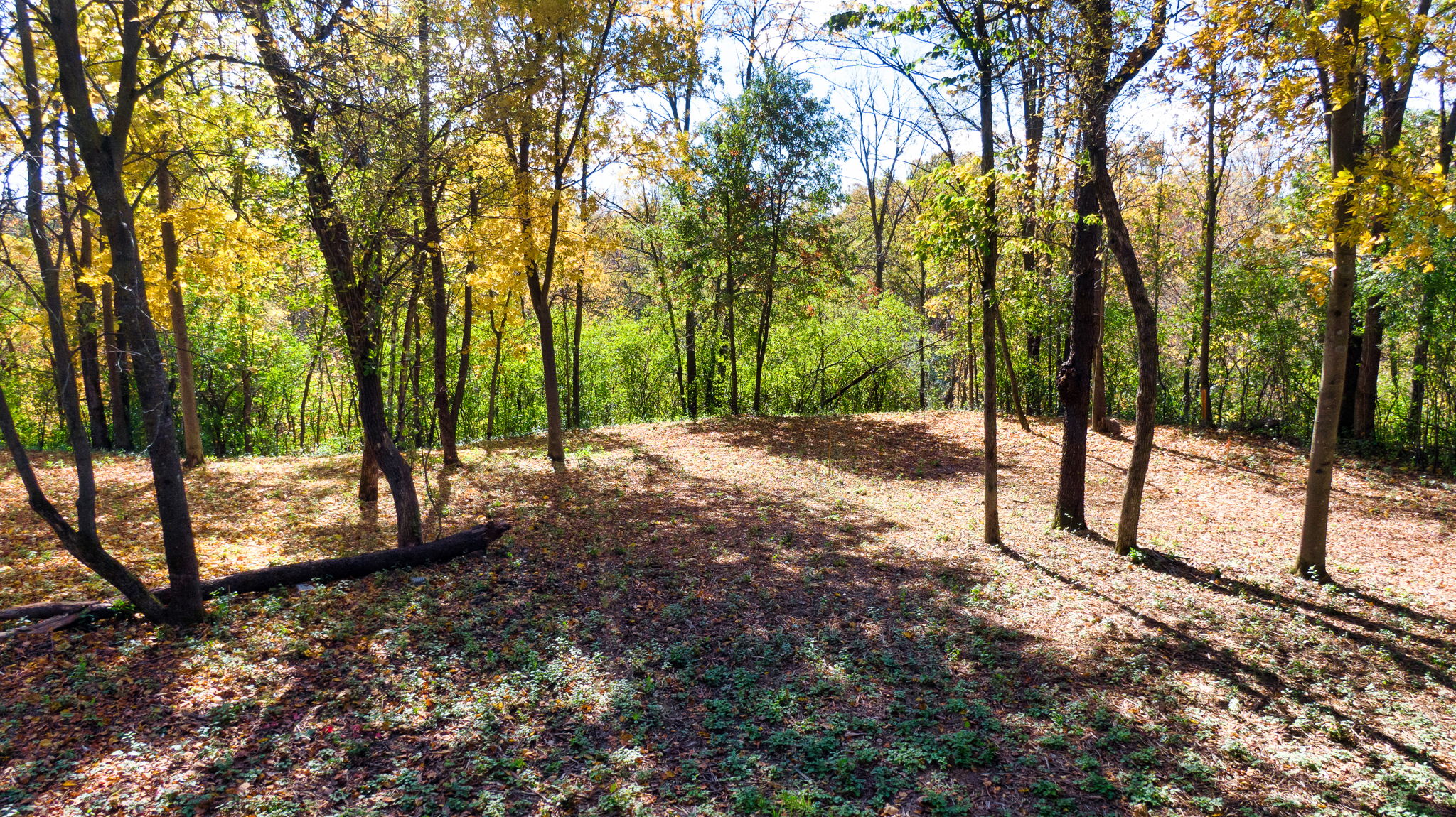 14XXX Dellwood Rd Photo 65