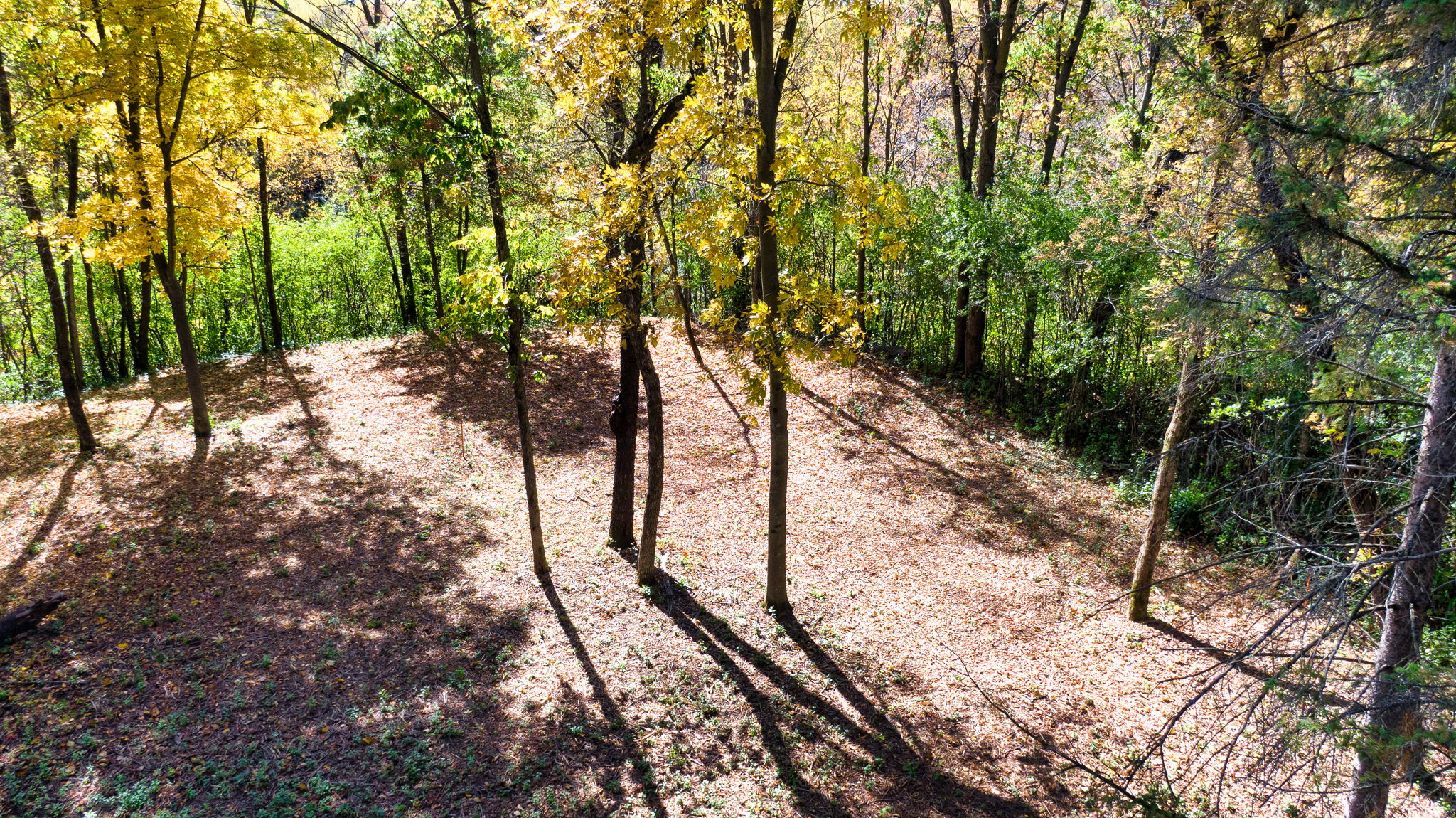 14XXX Dellwood Rd Photo 69