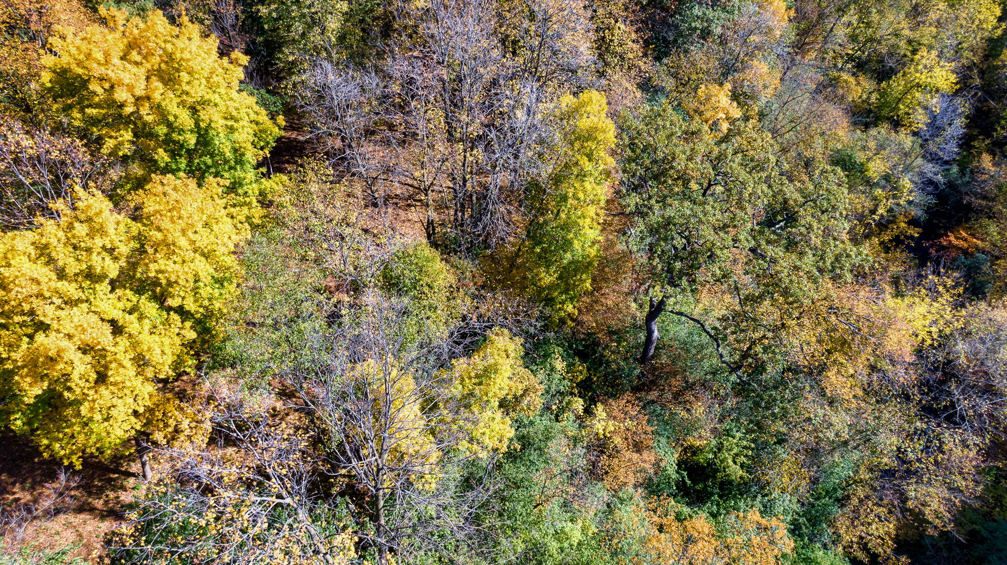 14XXX Dellwood Rd Photo 58