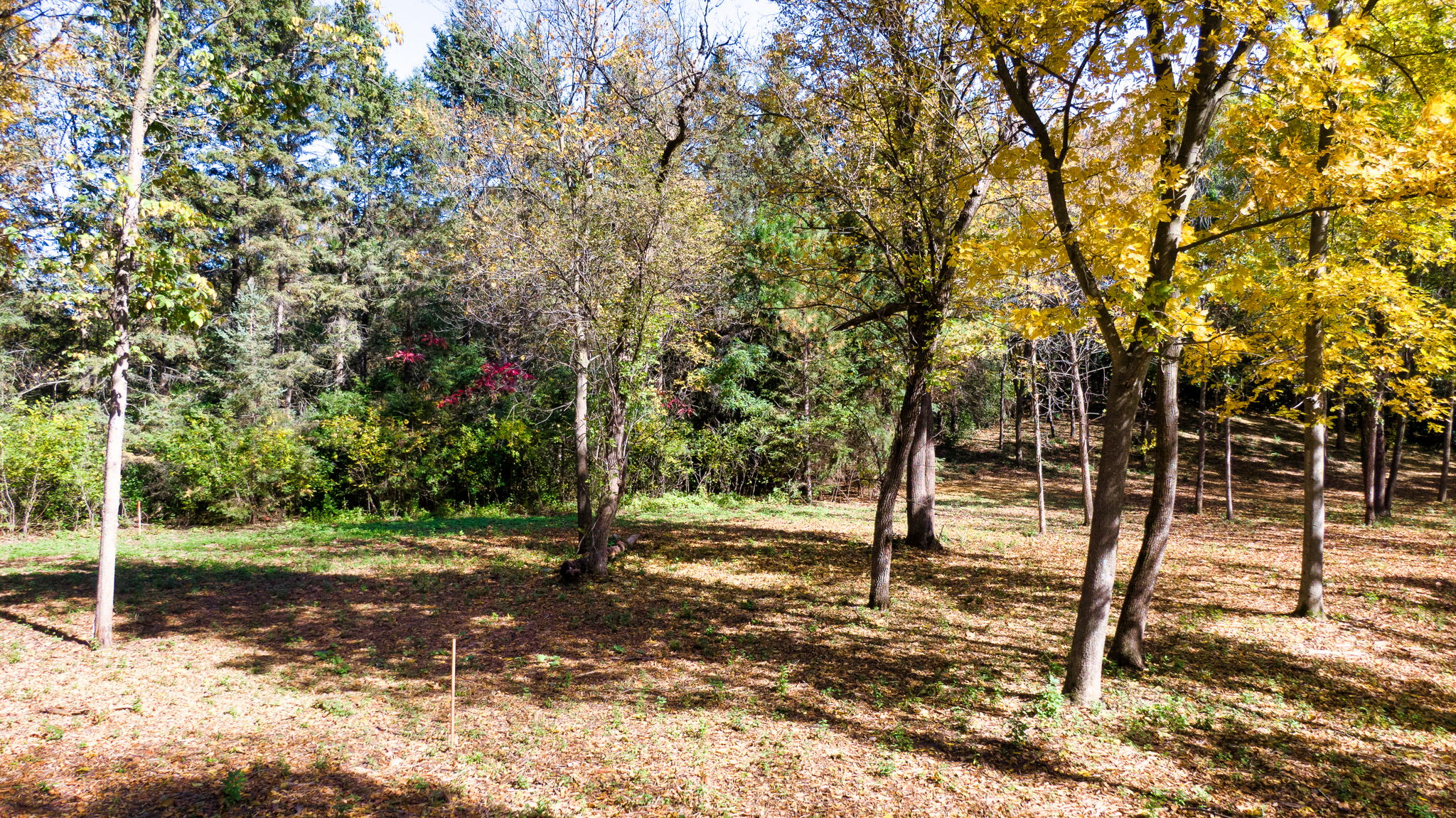 14XXX Dellwood Rd Photo 62