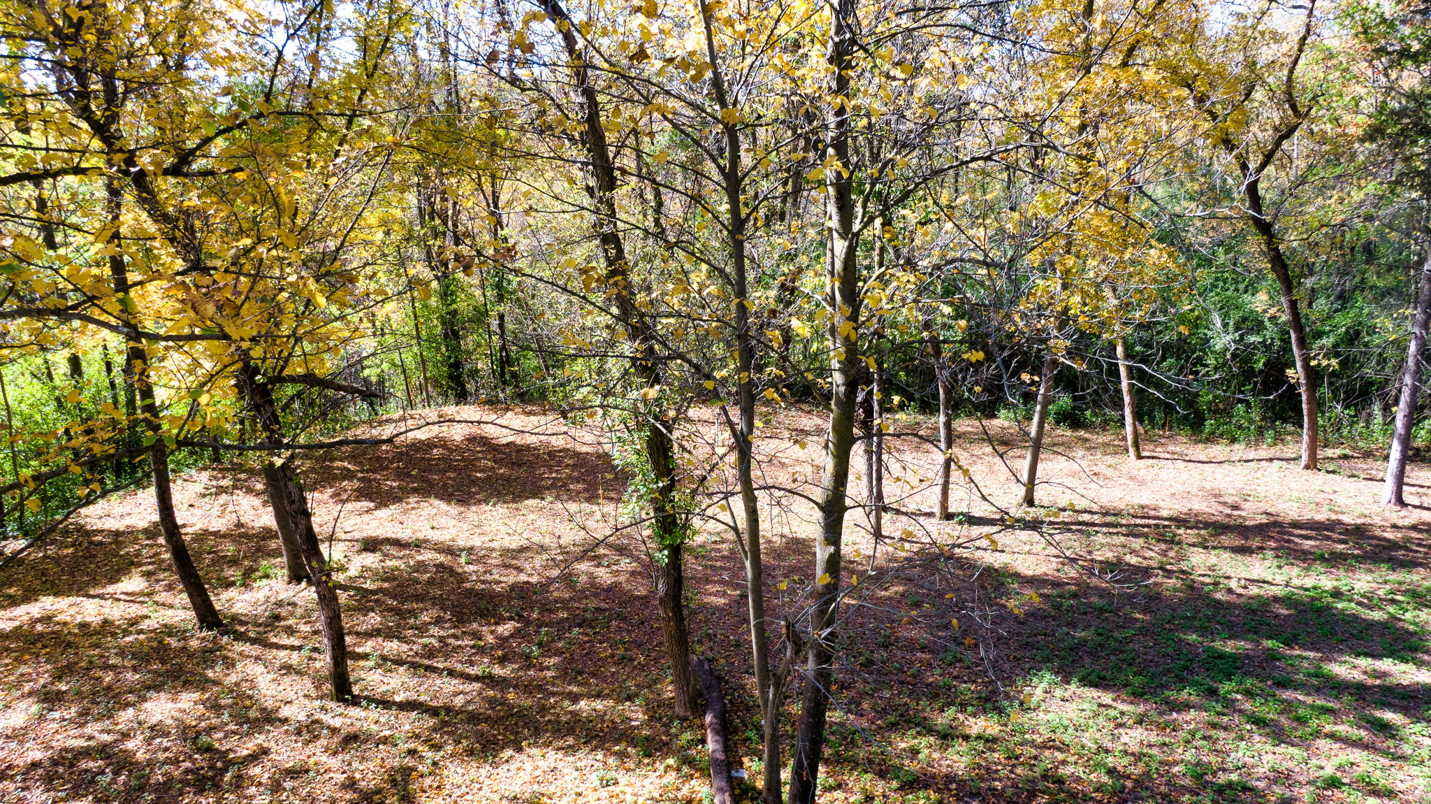 14XXX Dellwood Rd Photo 67