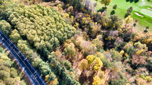 14XXX Dellwood Rd Photo 103