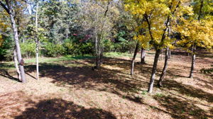 14XXX Dellwood Rd Photo 59