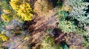 14XXX Dellwood Rd Photo 71