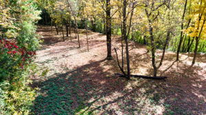 14XXX Dellwood Rd Photo 69