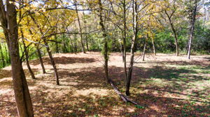 14XXX Dellwood Rd Photo 65