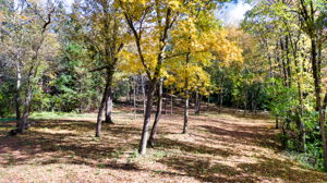 14XXX Dellwood Rd Photo 60