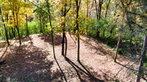 14XXX Dellwood Rd Photo 68