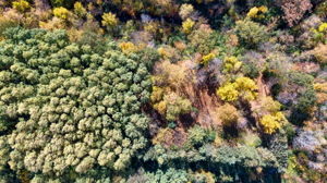 14XXX Dellwood Rd Photo 79