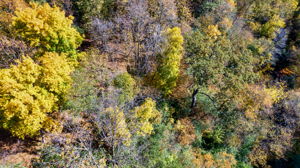 14XXX Dellwood Rd Photo 57