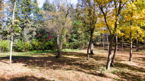 14XXX Dellwood Rd Photo 61