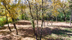 14XXX Dellwood Rd Photo 66