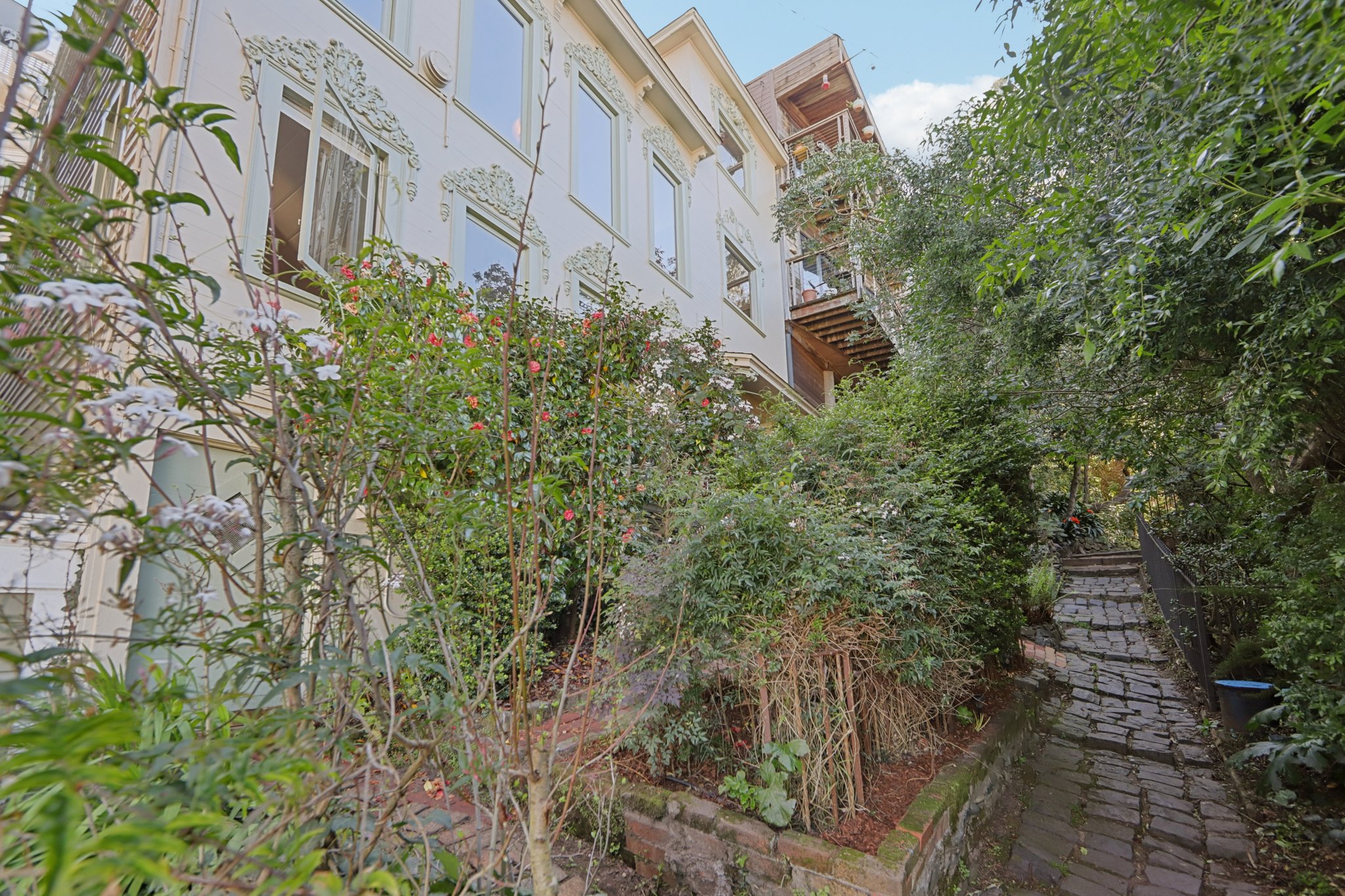 15-17 Macondray Ln 3