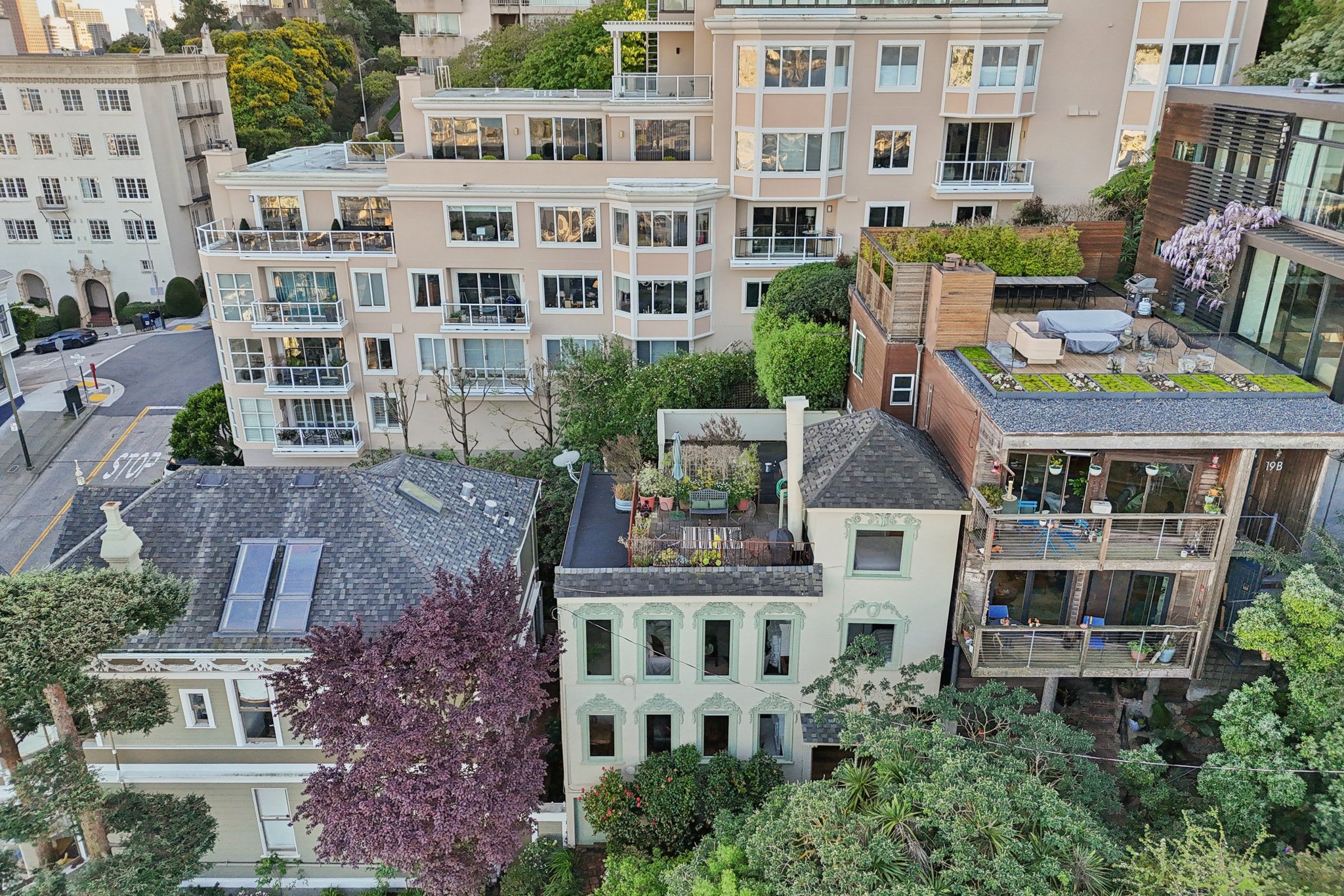 15-17 Macondray Ln-S1703-063.jpg