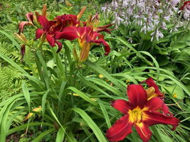  Photo 46
