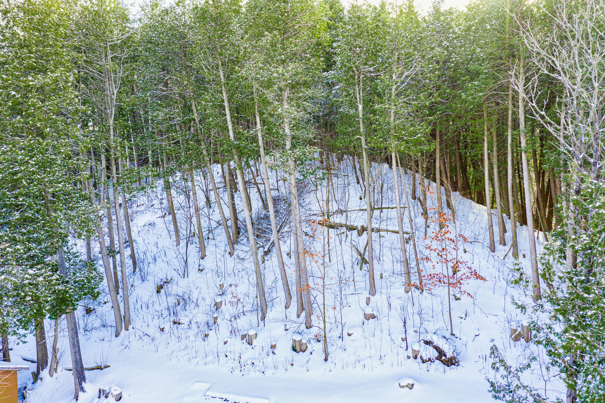 15 Cedar Lane, Mono, ON L9W 2Y8 JT Home Tours