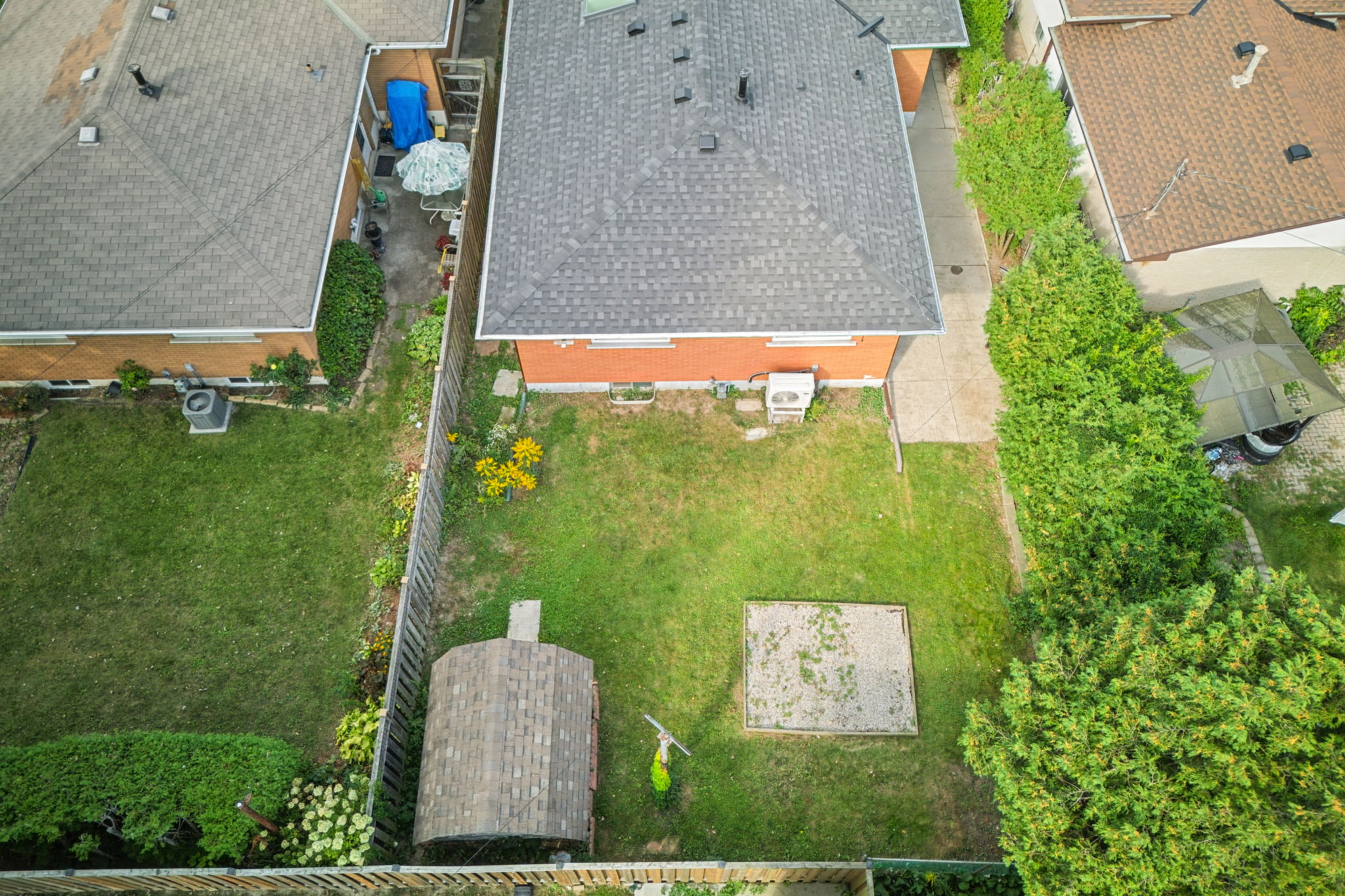  Photo 41