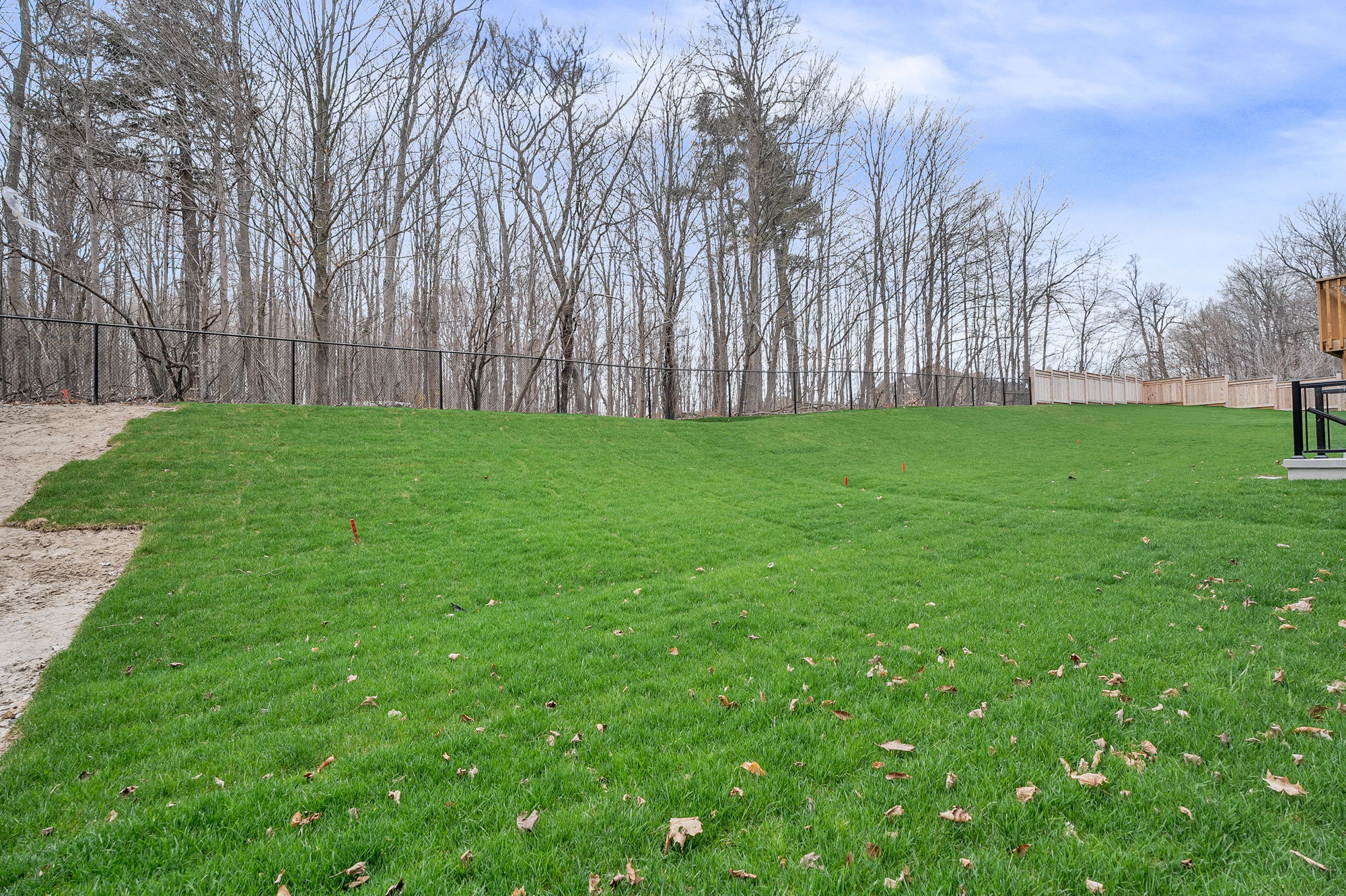 66-backyard1