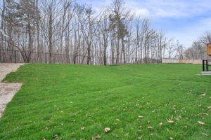 66-backyard1