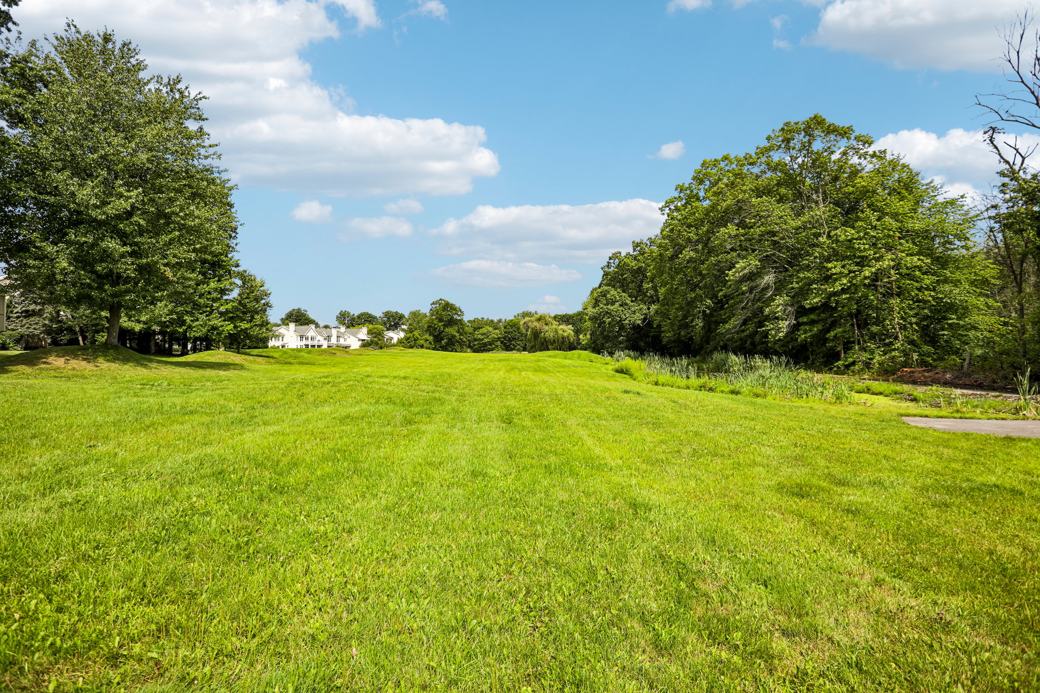 Doral Greens Dr-S0608-068.jpg