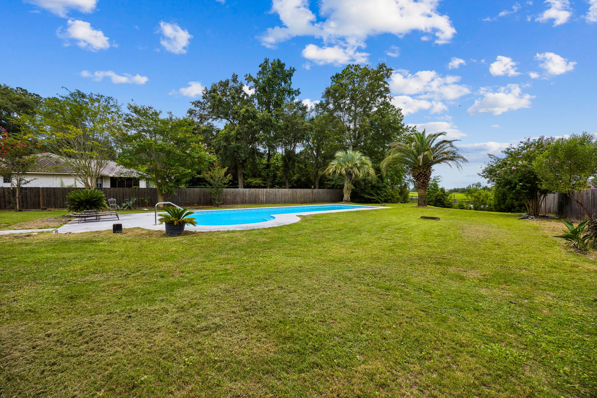 Backyard