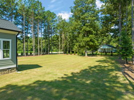  Photo 48