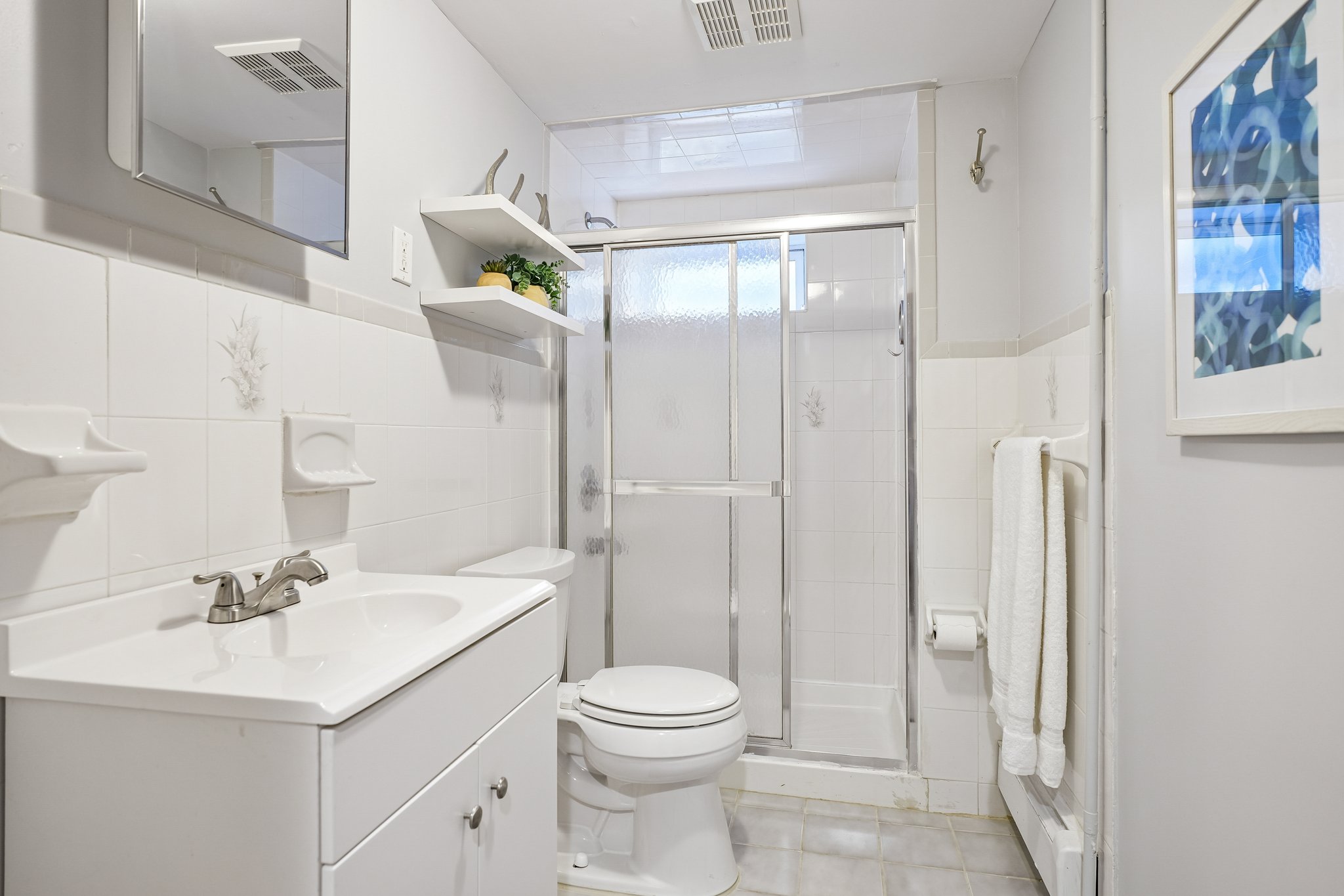Basement Bathroom