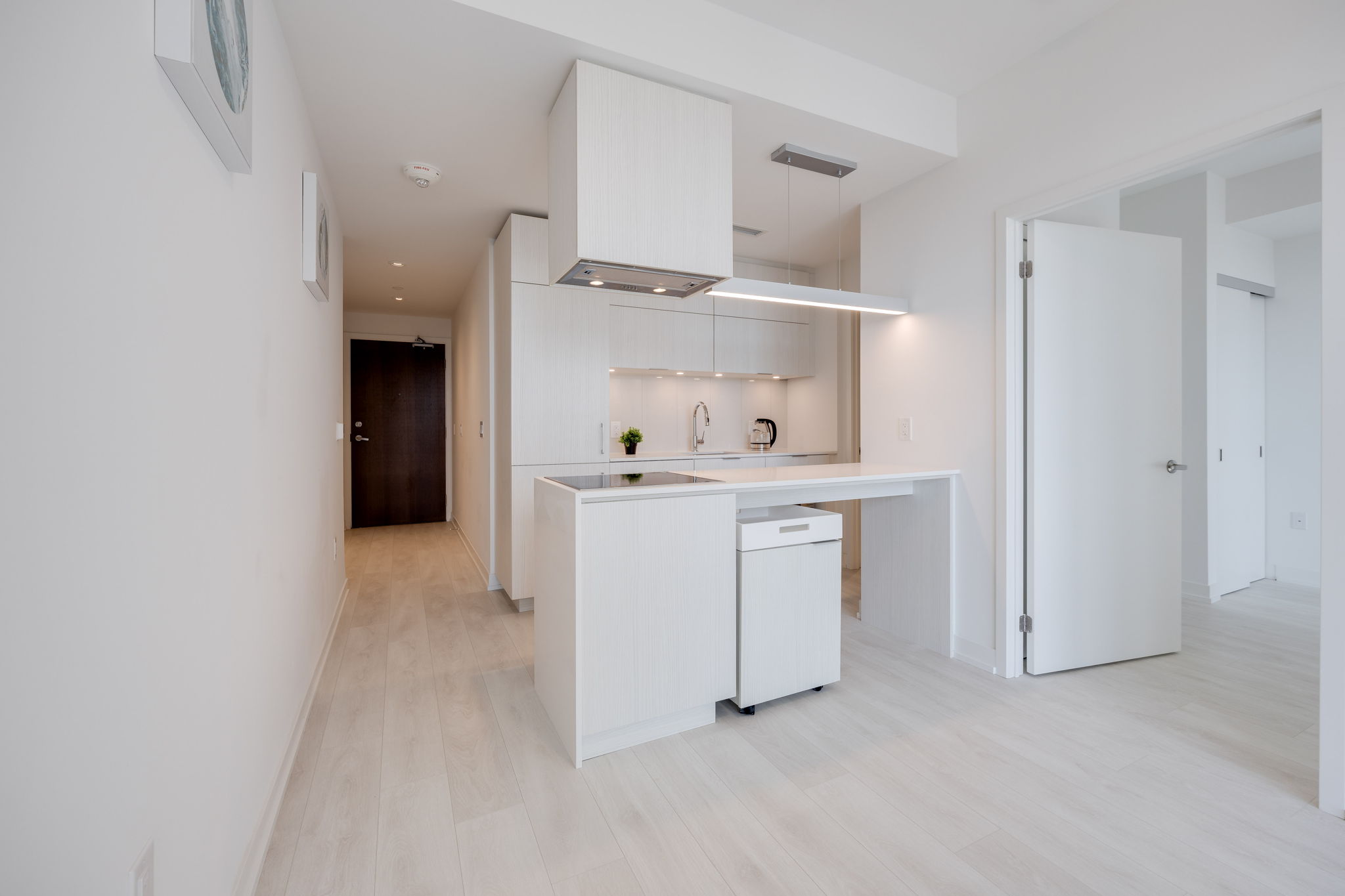 Toronto property showcase — delivered property photograph 4