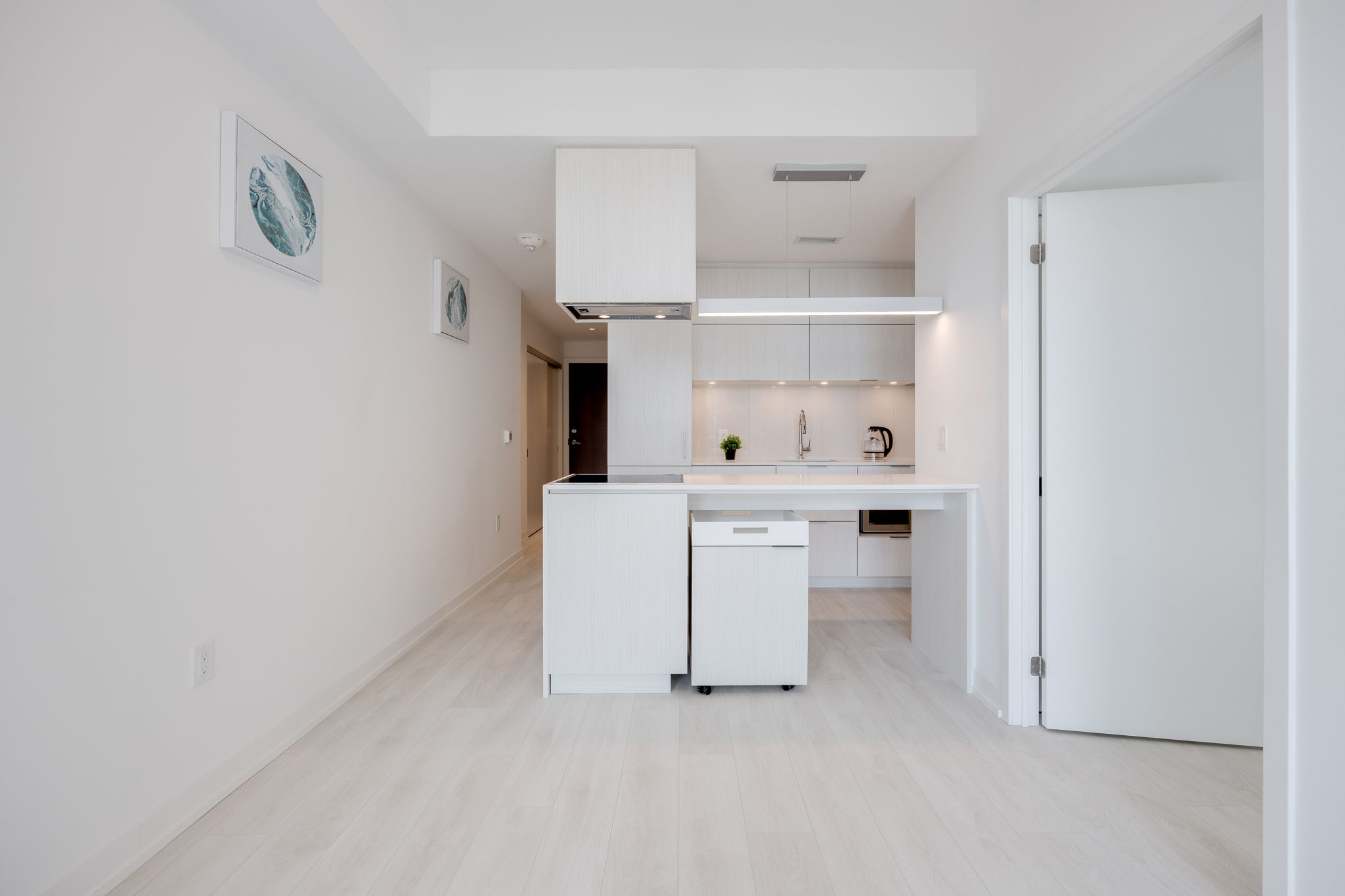 Toronto property showcase — delivered property photograph 3