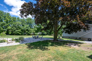  Photo 46