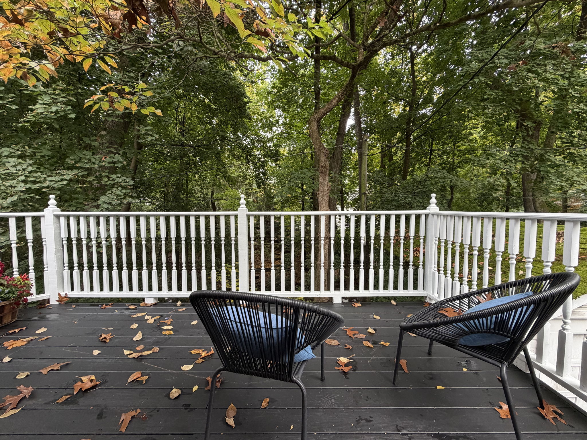 TREE HOUSE views, ground level convenience!