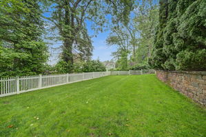  Photo 85