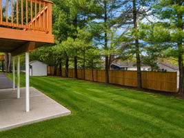  Photo 47